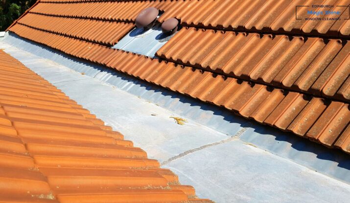tenement gutter cleaning