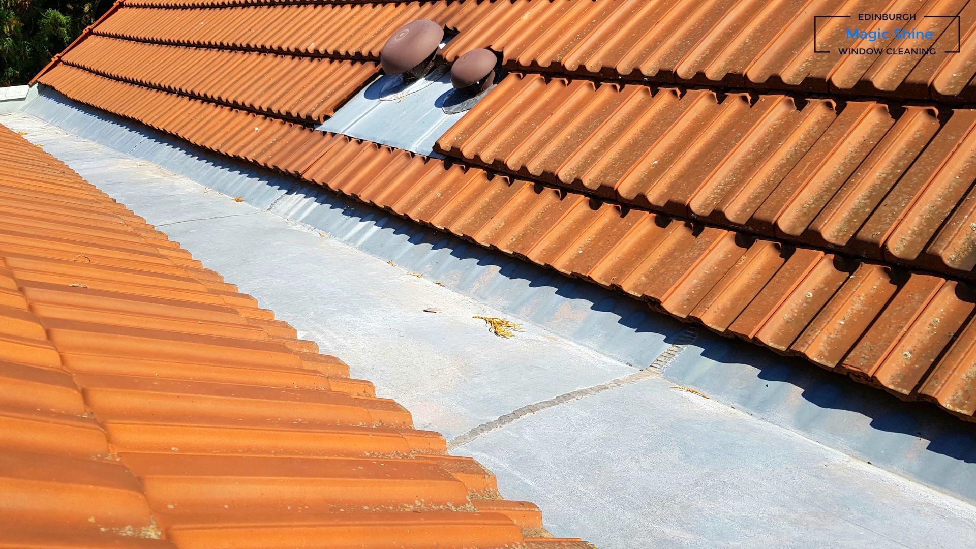 tenement gutter cleaning